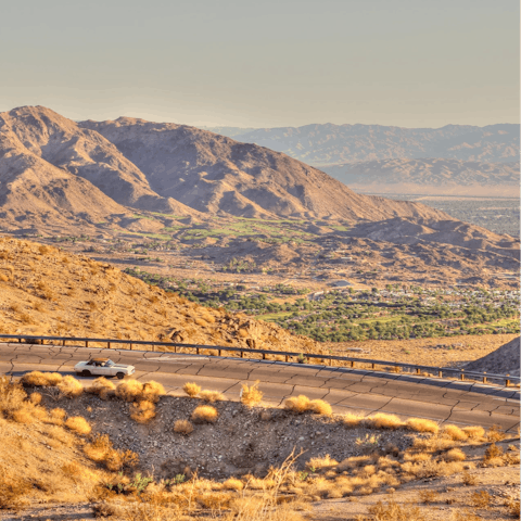 Stay in Coachella Valley, within walking distance of the world-famous music festival