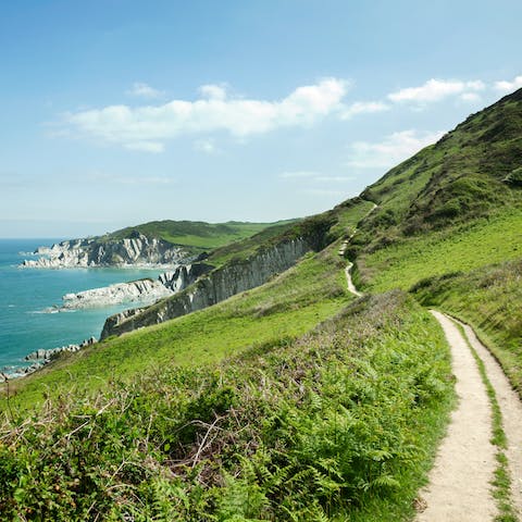 Discover scenic coastal trails –⁠ Berry Head Nature Reserve is just a six-minute drive away