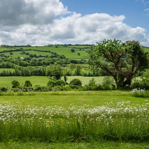 Gaze out over acres of rolling fields and unspoiled countryside
