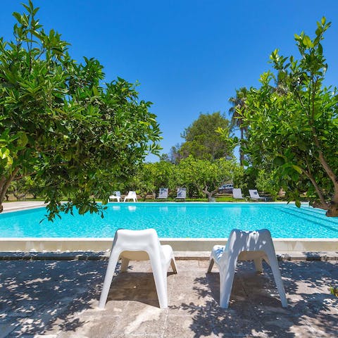 Admire the fruit trees as you float in the huge swimming pool