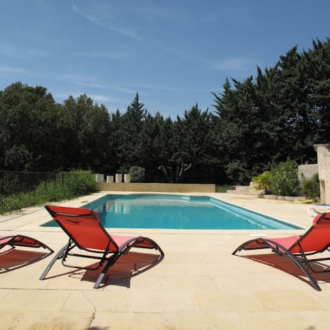 Relax by the pool surrounded by trees