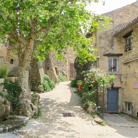 Explore the picturesque little village of Tourtour, just under 2 kilometres away