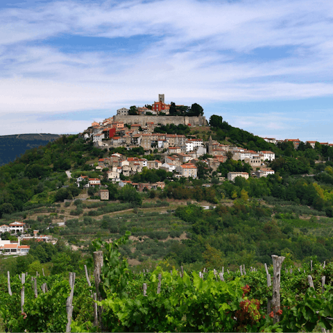 Discover the hilltop town of Motovun – just a short drive away