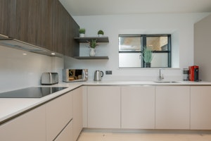 The New Victorian image 10
