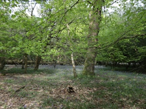 Garden Getaway image 11