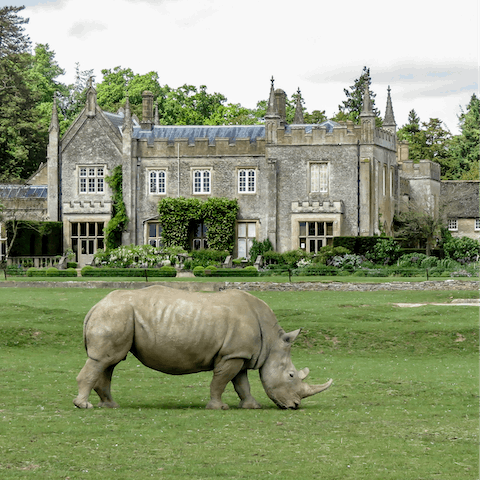 Pack up the car for an adventure at the Cotswold Wildlife Park, just a twenty-minute drive away