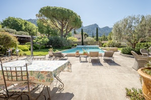 Olive & Ochre image 7