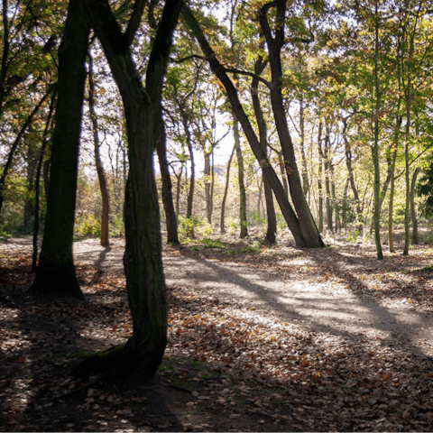 Take a stroll around the peaceful Bois de Boulogne, a twenty-minute walk away