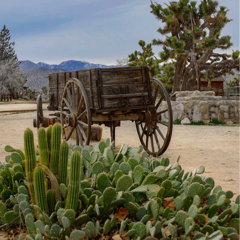 Get a true taste of the Wild West in Pioneertown, a fifteen-minute drive away