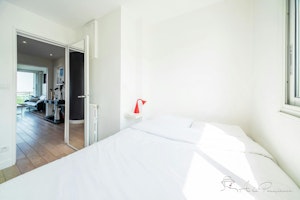 Charming Parkside Haven image 11
