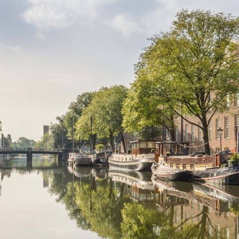Explore picture-perfect Amsterdam