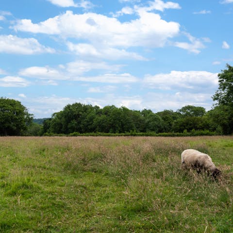 Ramble through the surrounding countryside