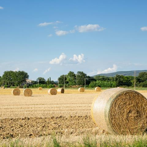 Enjoy the tranquility of the Umbrian countryside surrounding you