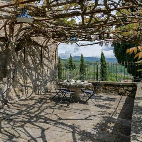 Pause for aperitivo under ancient, twisting vines