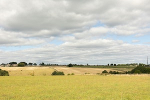 Heart of The Hills image 5