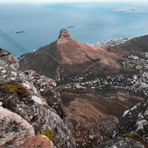 Take a scenic cable car ride up Table Mountain, a short drive away