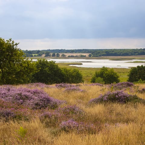 Take a thirty-minute drive to the scenic Suffolk Coast & Heaths AONB 