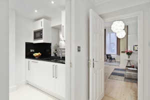 Bertie image 7