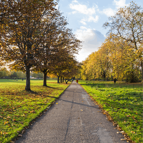 Take a stroll down Hyde Park's leafy avenues
