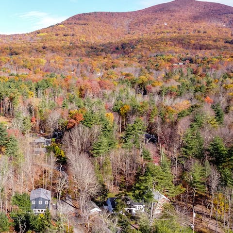 Stay surrounded by trees, yet just a fifteen-minute walk from Woodstock town