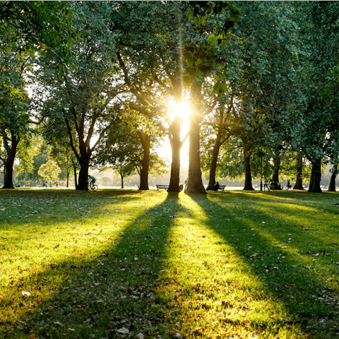 Take a picnic to Hyde Park, a fifteen-minute walk away