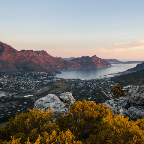 Explore the natural wonders and native wildlife of Hout Bay