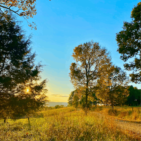 Enjoy the Arkansas countryside at any time of year