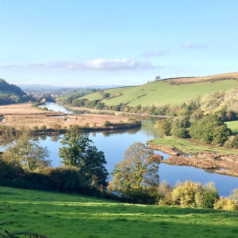 Go for an idyllic ramble along the banks of the River Dart, reached in forty minutes on foot