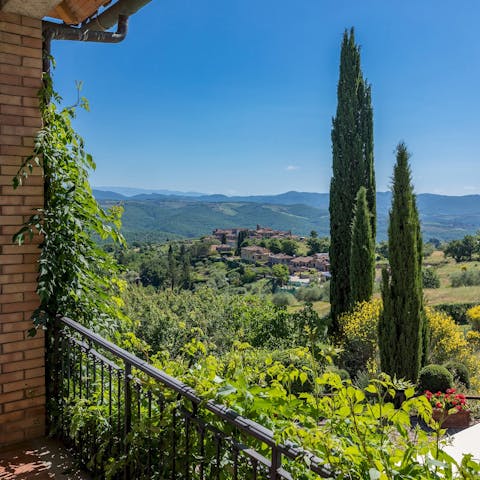Stare out across the stunning views of the vineyards and olive groves around you