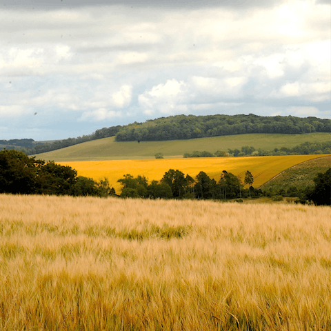 Discover incredible walking and cycling opportunities in the South Downs