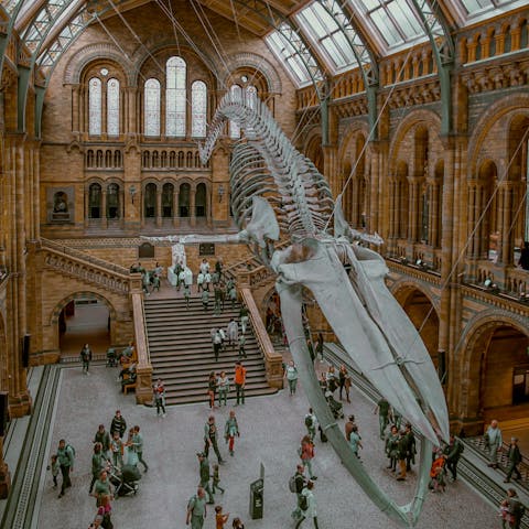 Spend an afternoon exploring the Natural History Museum, a ten-minute walk away