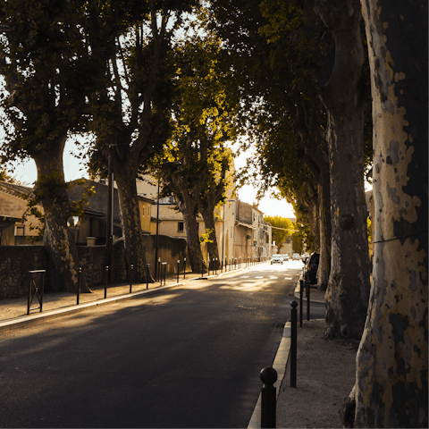 Take a stroll through nearby leafy Saint-Rémy-de-Provence