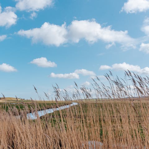 Walk through the various trails of Norfolk