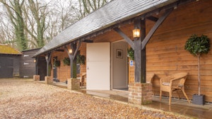 Strong and Stables image 1