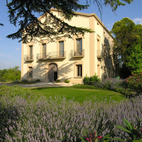 Soak up the Mediterranean scents of the garden 