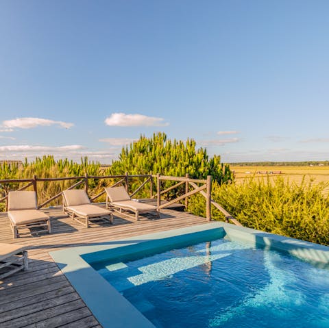Sunbathe poolside atop a sun-soaked deck, enjoying natural views over the rice fields