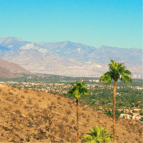 Experience the magic of desert living from Palm Springs