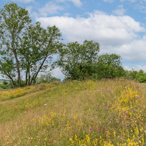 Go on long rambles through the conservation area surrounding the home