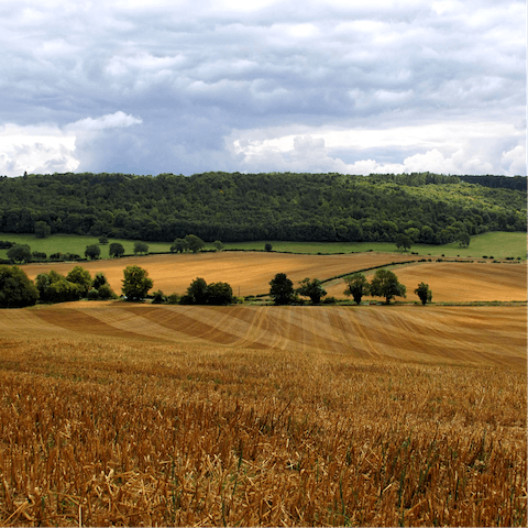 Explore the surrounding Oxfordshire countryside or set out on a stroll along The Ridgeway National Trail