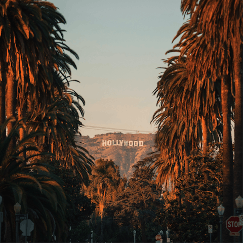 Hop in a taxi for a twenty-five minute drive up to the iconic Hollywood sign