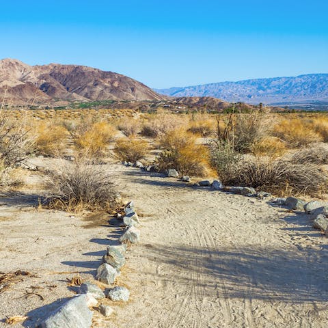 Trek a vast array of hiking trails in the Coachella Valley 