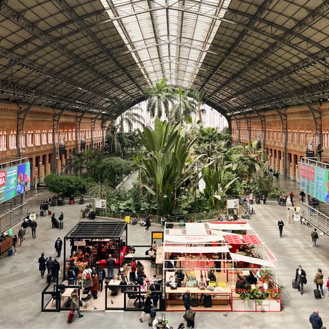 Stay near Atocha, known as a cultural hub with a tropical train station