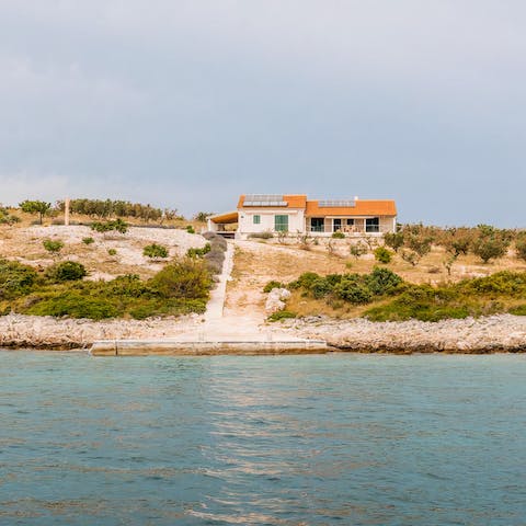Sail twenty minutes from the Biograd na Moru to your own olive oil estate