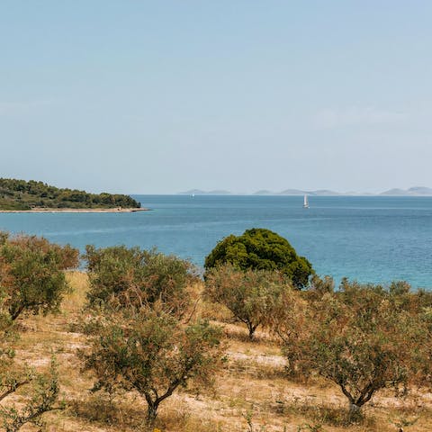 Make the most of your location in the Zadar archipelago and discover secluded beaches