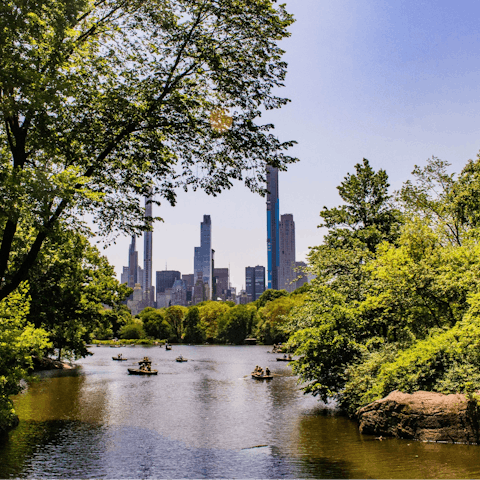 Take a walk down to the famous Central Park and its natural beauty