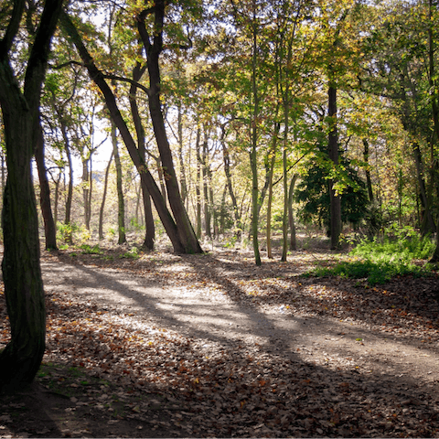 Get lost among the woodland and lakes of Bois de Boulogne, only two minutes' walk from the home