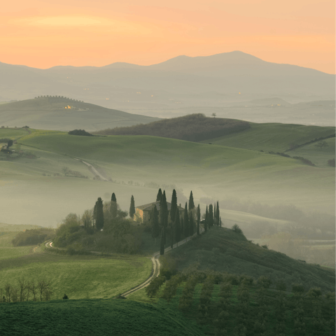 Discover the romantic Tuscan countryside and its vineyards