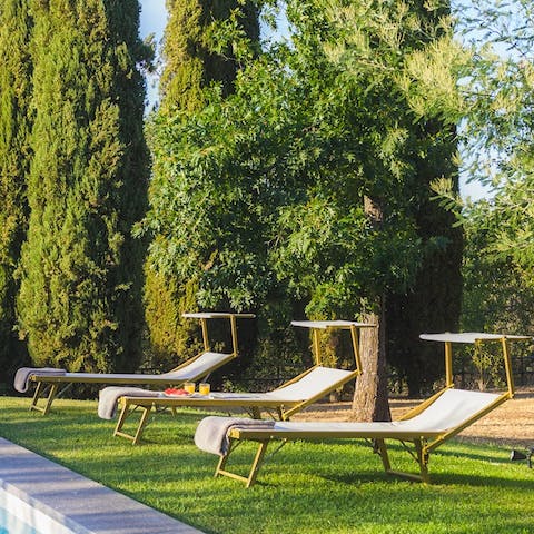 Sunbathe on the loungers surrounded by the fragrant fauna and flora of the garden
