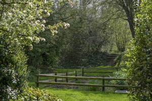 Ancient Groves image 15