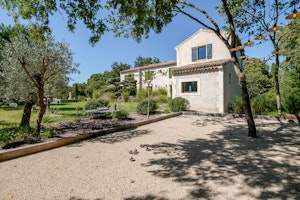 The Lavender Path image 12